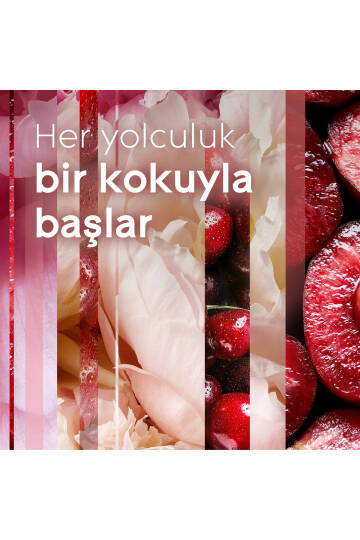 Çubuklu Oda Kokusu Cherry Bloom 100 ml - 4